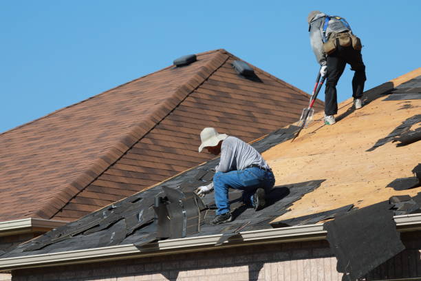 Best Gutter Installation and Repair  in Auxvasse, MO